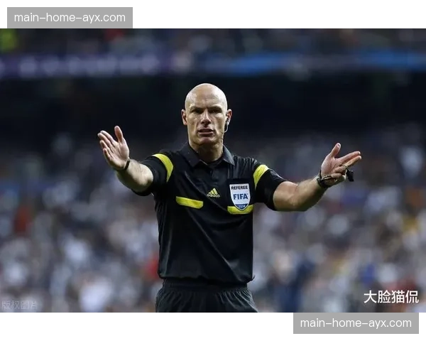 前英超裁判负责人韦伯谈VAR：商业压力不应影响场上判罚的公正性